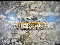 拡大&nbsp;テレビ神奈川　自然環境保護キャンペーンCM 01